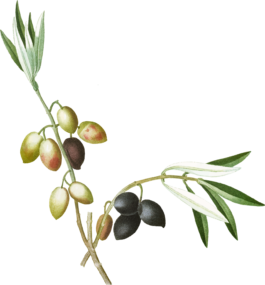 Born in Sicily Routes — Val di Mazara